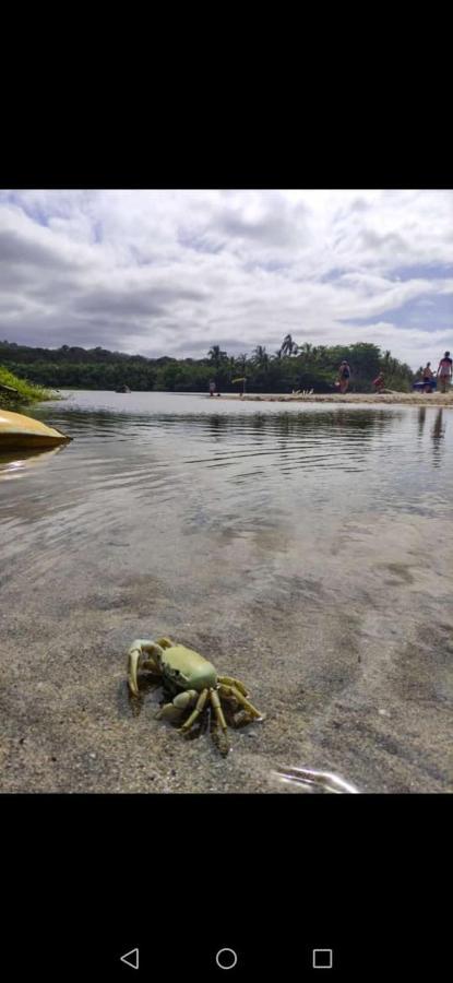 Hostal Estrellas Del Tayrona Playa Mendihuaca Guachaca Dış mekan fotoğraf