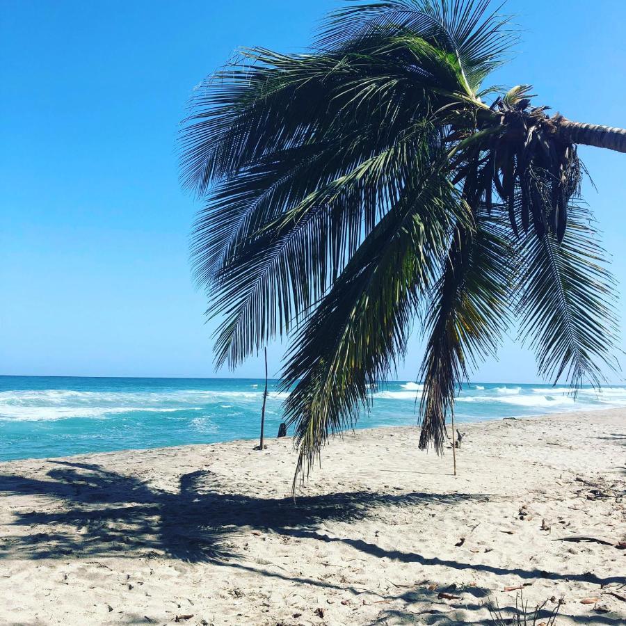Hostal Estrellas Del Tayrona Playa Mendihuaca Guachaca Dış mekan fotoğraf